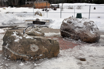 The whales look resolute and maybe a bit relieved after being shoveled out from the 16 inches of snow that fell here last week.