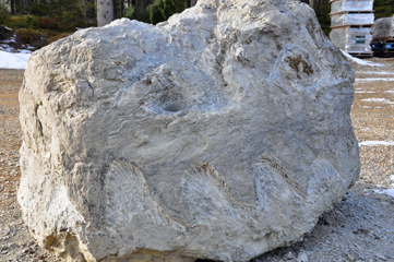 second dragon head Carole Hanson has nearly finished the three dragon heads. This one is carved out of the same Ellsworth schist that the lovely stone basin in the Vayo Meditation Garden is fashioned from.