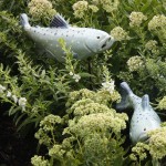 Fish with Sedum 'Autumn Joy'