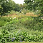 View of the Wind Orchid from the Cleaver Event Lawn