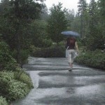 Entry Walk during the hurricane