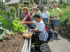 Therapeutic Horticulture