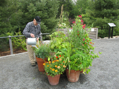 Therapeutic Horticulture at the Gardens
