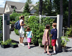 Flower Tower in the Sensory Garden by B Freeman