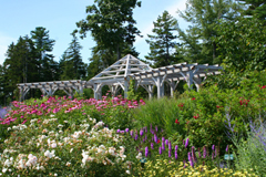 Rose & Perennial Garden by B Freeman