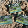Gardens Magnet