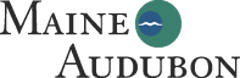 Maine Audubon 240