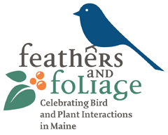 Feathers and Foliage