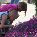 In the Garden of the Five Senses