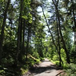 Trail