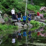 In the Rhododendron Garden (Rachel Buck photo)