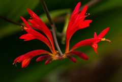 Photo club Crabular by Rob Smith-240