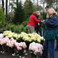 Plant Sale thumbnail