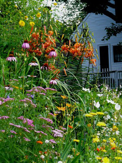 Jewett Gardens-240