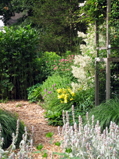 Cottage Garden 2 by Amy Ziffer-240