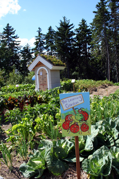 Learning Garden 240