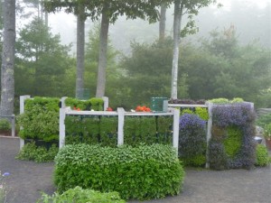 vertical gardens
