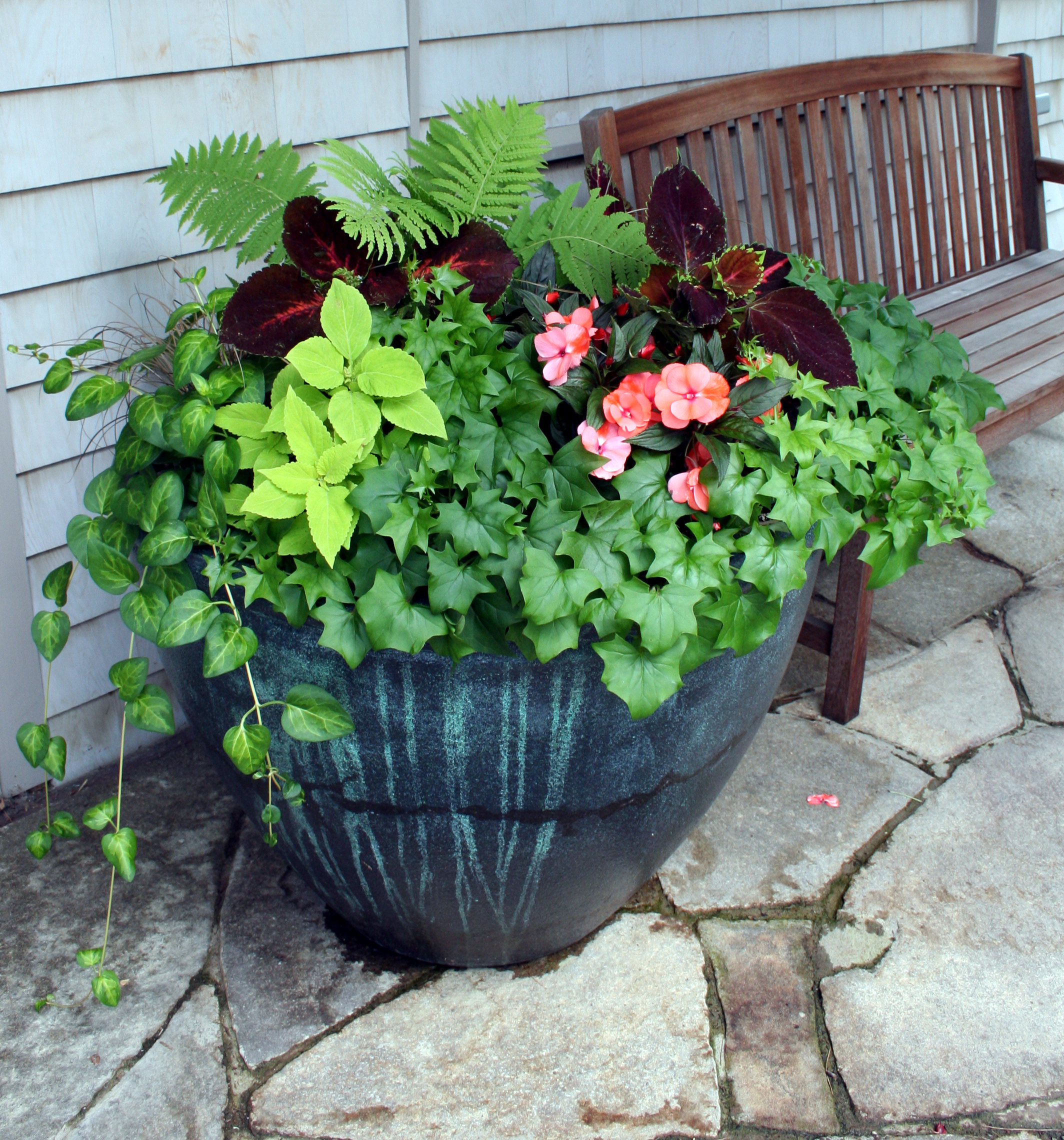 FULL – Container Gardening: Lots of Pots! with Diane Walden ...