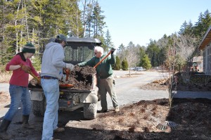 mulching blog post