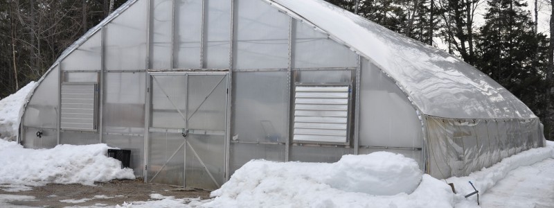 Greenhouse March 2015
