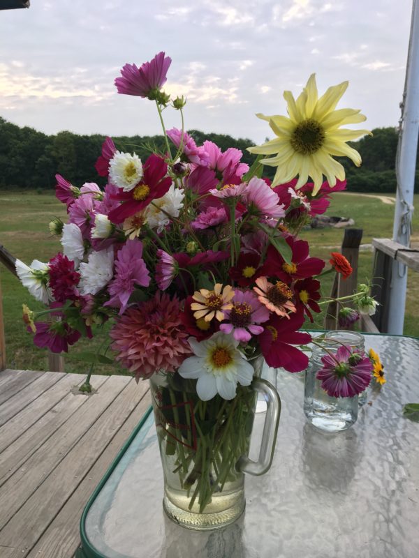 A day's harvest of cut flowers.