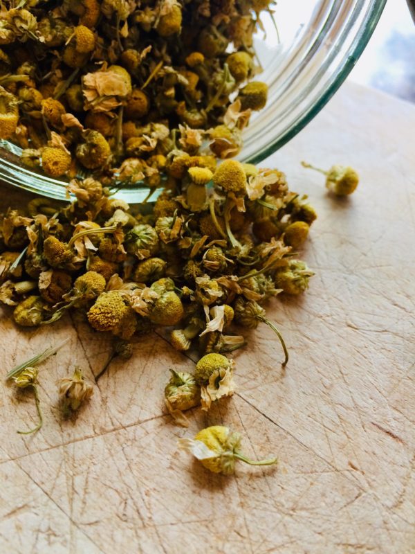 dried chamomile blossoms