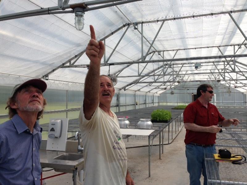 People working in a greenhouse.