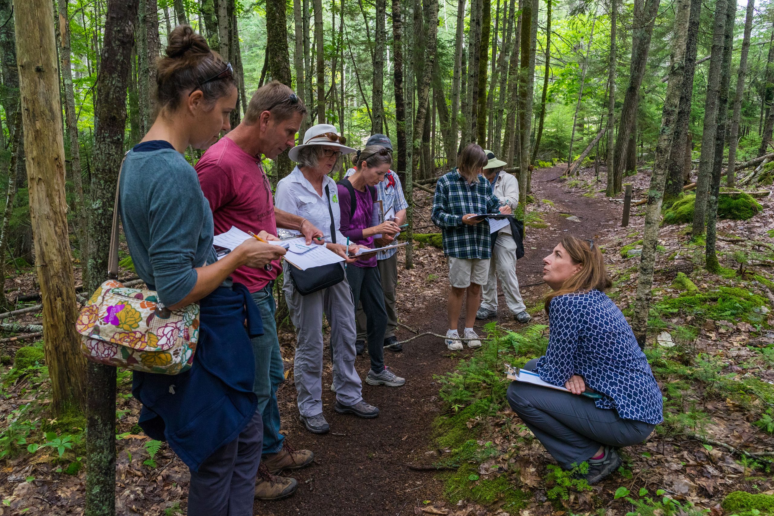 A group of people is studying nature in a forest, taking notes and observing their surroundings along a wooded path.