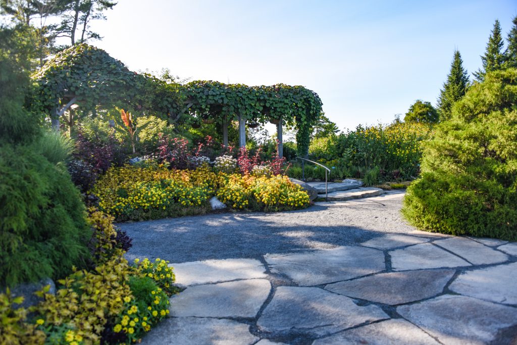 Mosaic Garden Art for Adults  Coastal Maine Botanical Gardens