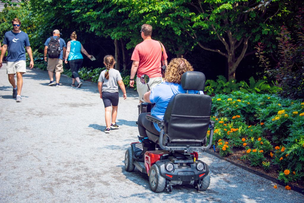 A person driving an accessible electric scooter cart on a flat pathway.