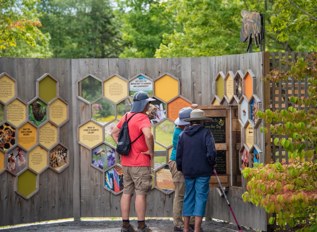 A group of people stand in front of a wall with beekeeping information on it, holding open a panel to look at a beehive inside. One of the people is holding a cane.
