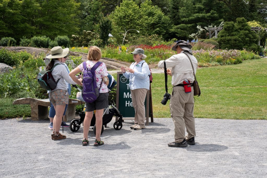 Native Plant Tour with Ginger Carr 08752