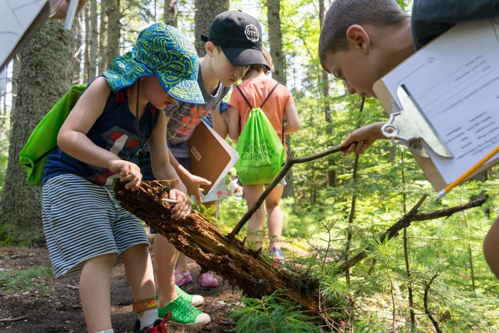 Children explore the forest, examining a log and holding notebooks while surrounded by greenery.