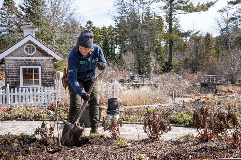 A woman wearing a hat, gloves, and a "Coastal Maine Botanical Gardens" staff jacket, using a shovel to dig in a garden bed. A small wooden building, white picket fence, and a wooden bridge are in the background.